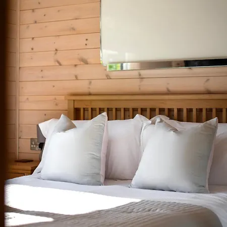 Daire Curlew Yorkshire *