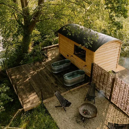 Daire Curlew Yorkshire